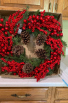 Item 16 Christmas Wreath.jpg